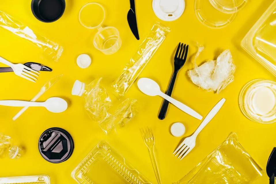 The Food Service Industry s Sustainable Revolution Transitioning From 