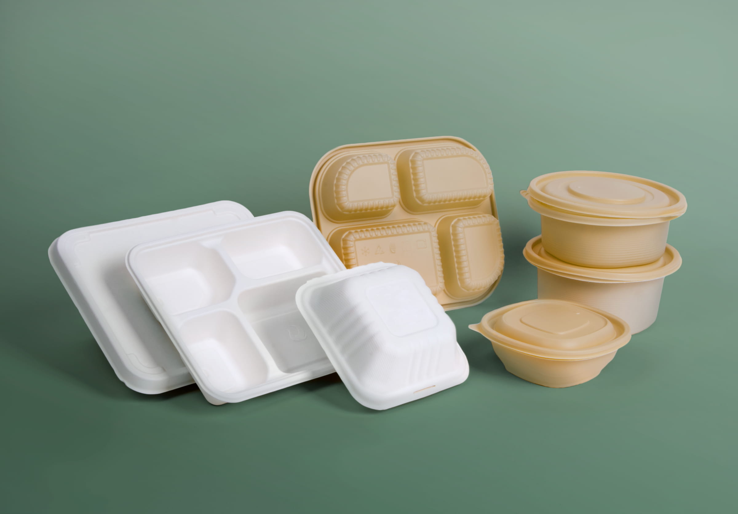 Unwrap the Future: Sustainable Alternatives to Plastic Food Packaging
